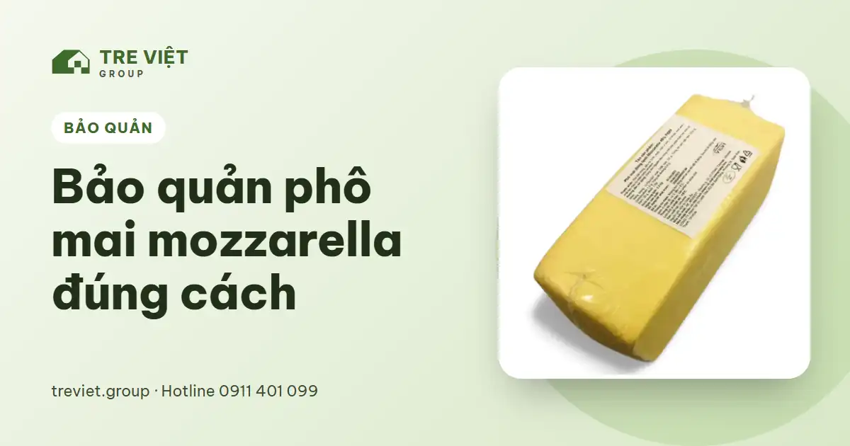 Bảo quản phô mai mozzarella – khối phô mai Mozzarella Vilvi 2,5kg đông lạnh