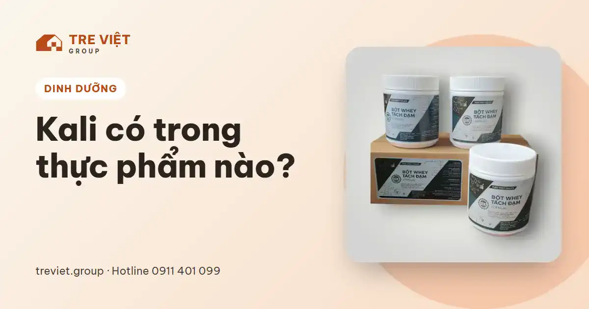 Kali có trong thực phẩm nào – hộp Bột Whey Tách Đạm Versilac chứa khoáng chất từ sữa